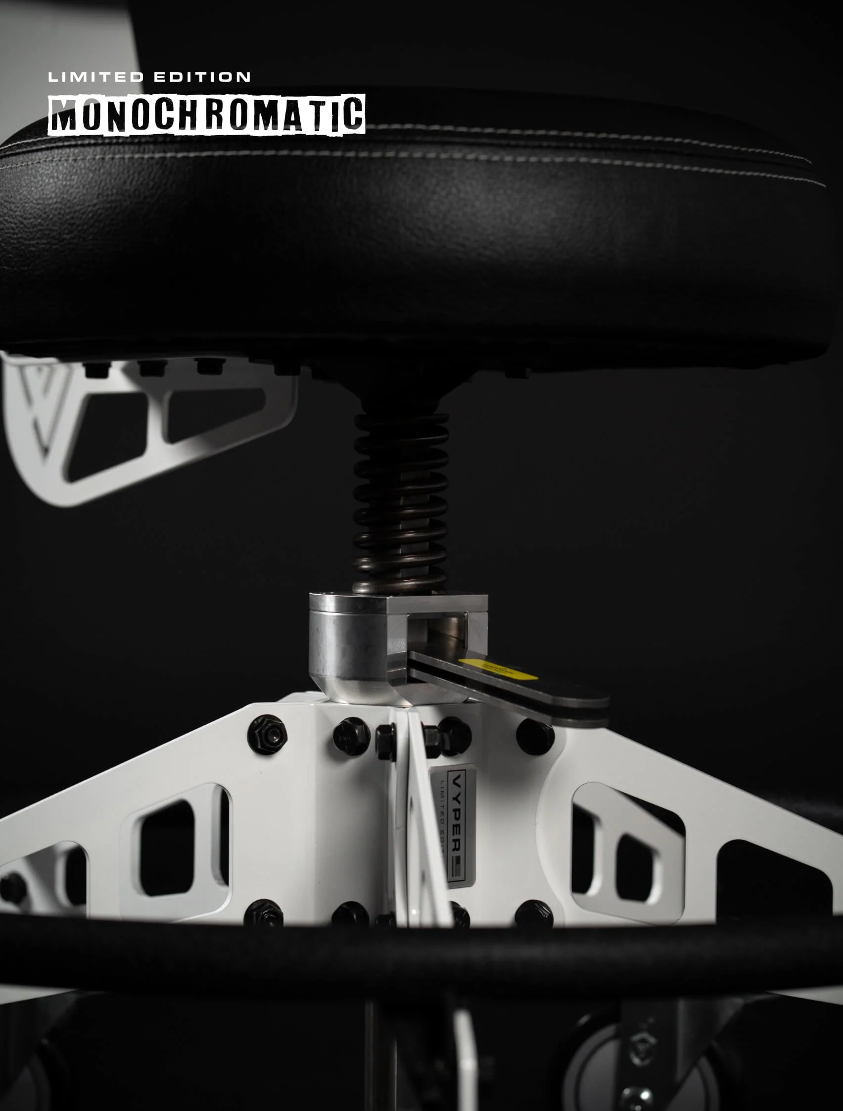 MONOCHROMATIC EDITION (ROBUST MODEL) - Image 13